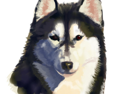 かっこいい ハスキー 犬 イラスト の最高のコレクション ただのディズニー画像