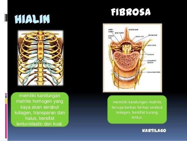 Contoh Difusi Dalam Proses Perubahan Sosial - Contoh Hits
