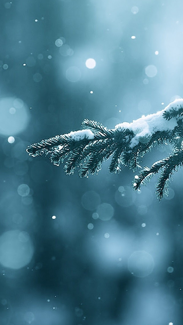 すべての花の画像 ロイヤリティフリー雪景色 壁紙 Iphone