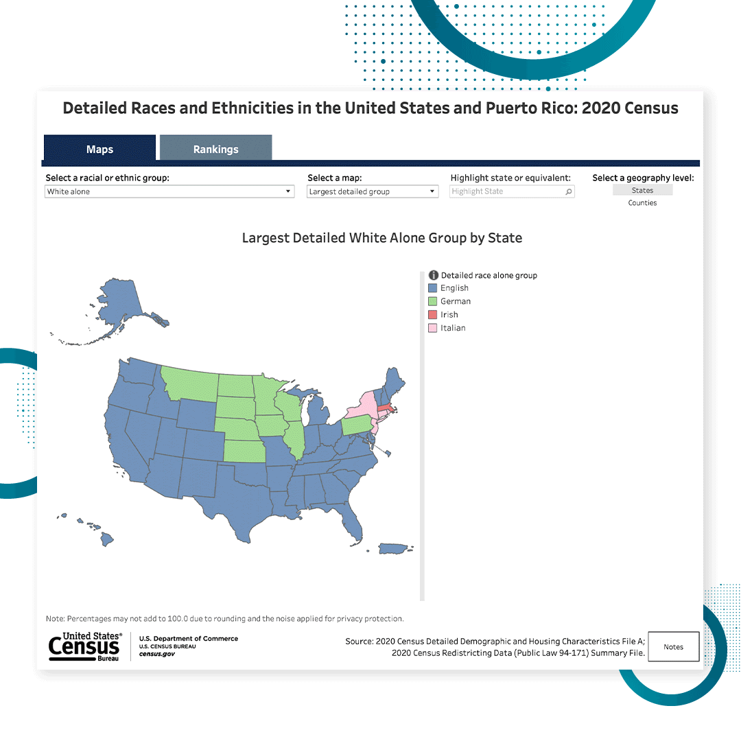 Data Visualization: Detailed Races and Ethnicities in the United States and Puerto Rico: 2020 Census