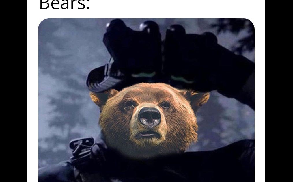  Sad Bear Meme Generator