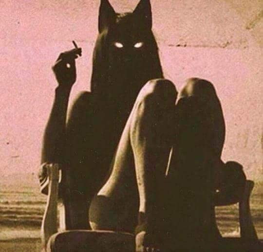 إذا كنت تريد تحويل الصورة الى شفافة بدون خلفية أون لاين، فسنتعرف في هذا الموضوع إن شاء الله على أفضل موقع ازالة خلفية الصورة بدون فوتوشوب أ. Ø¨Ù†Ø§Øª Ø§Ø¨Ù„ÙŠØ³ Ø¥Ù…Ø¨Ø±Ø§Ø·ÙˆØ±ÙŠØ© Ø§Ù„Ø±Ø¹Ø¨ Amino