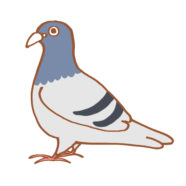 綺麗な鳩 イラスト 簡単 美しい花の画像