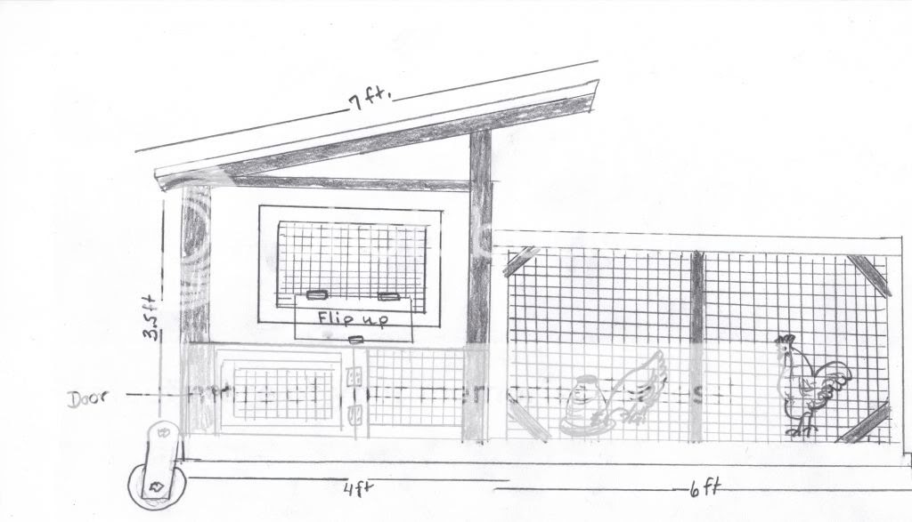 Report Ideas: More Chicken coop plans simple