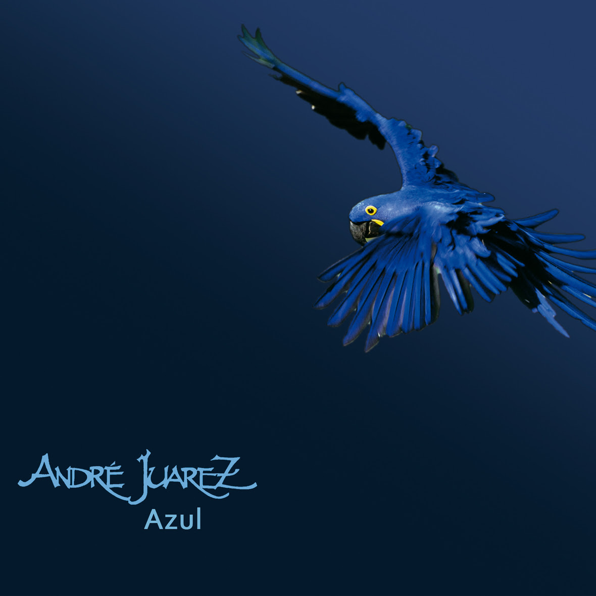 Capa Andre Juarez Azul