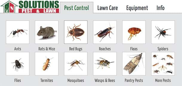 You can find this information on government websites. Who Is Responsible For Pest Control Landlords Or Tenants Rentprep