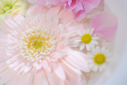 あなたのためのイラスト ベストかわいい お花 画像
