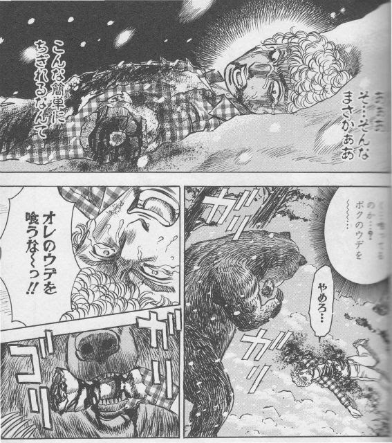 最高 シャトゥーンヒグマの森 ベストコレクション漫画 アニメ