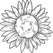 Flower coloring pages a beautiful list of flower coloring pages for your kid s enjoyment. Sunflower Coloring Pages Free Coloring Pages