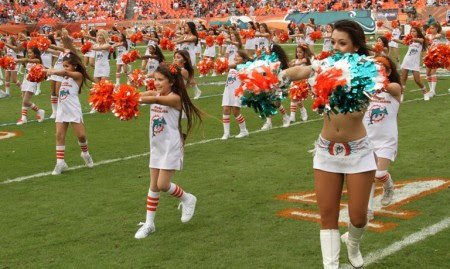 The 2016 miami dolphins season was the franchise's 47th season in the national football league, the 51st overall and the first under head coach adam gase. Miami Dolphins Cheerleaders Past Present And Future