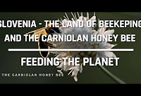 Food Film Menu 2023 - Best Food Film in the Feeding the Planet category