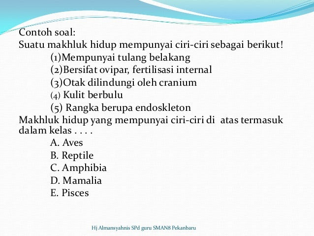 Contoh Hewan Kelas Amphibia - Contoh Oha
