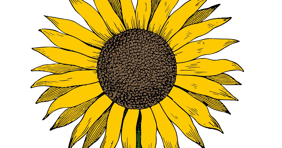 Free Free 109 Clipart Sunflower Heart SVG PNG EPS DXF File