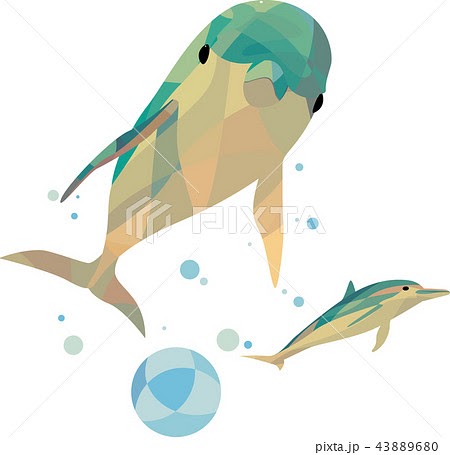 Japan Image イルカ イラスト 正面