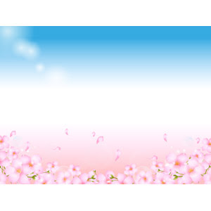 Ngagolak 桜 青空 イラスト フリー