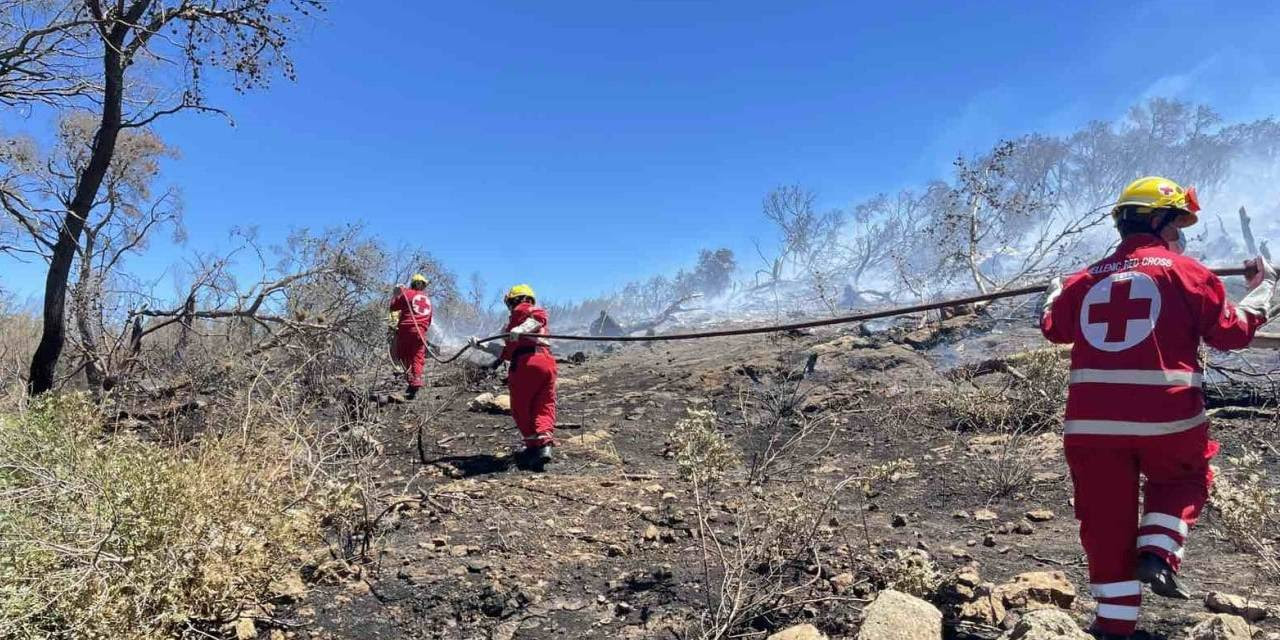 Enorme bosbranden razen door Zuid-Europa en we helpen waar we kunnen