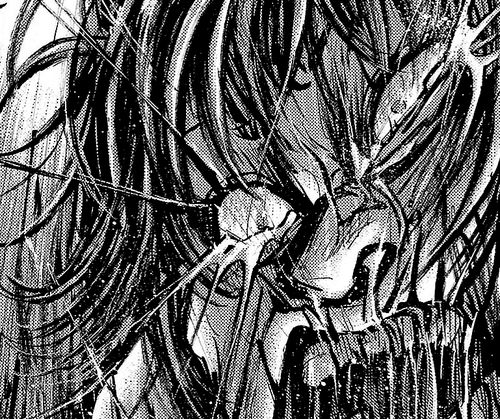シマウマ 漫画 無料 壁紙画像ページ