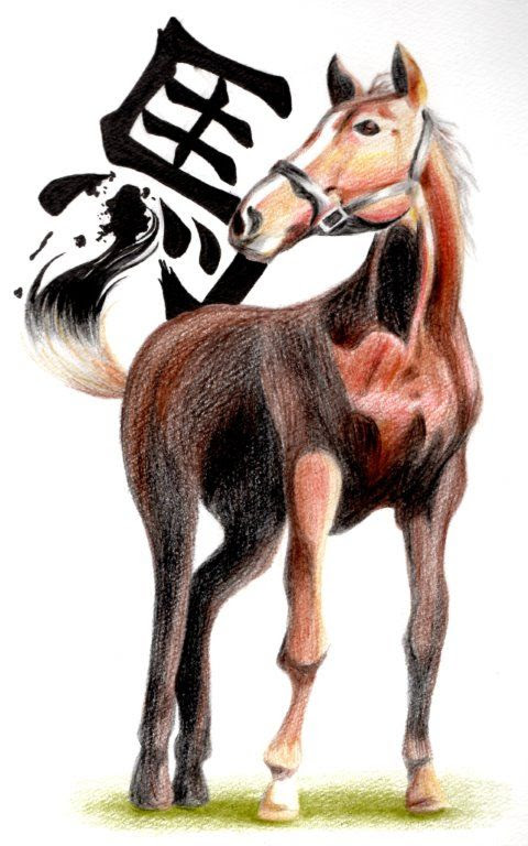 最高のイラスト画像 ラブリーリアル 馬 イラスト 顔