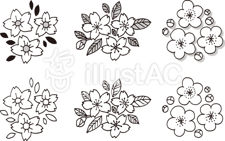 ユニーク白黒 桜 イラスト かっこいい 動物ゾーン