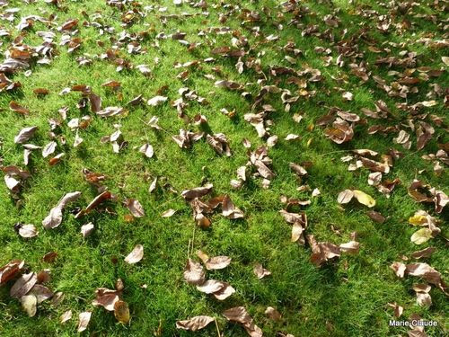 Poesie Quand Automne En Saison Revient