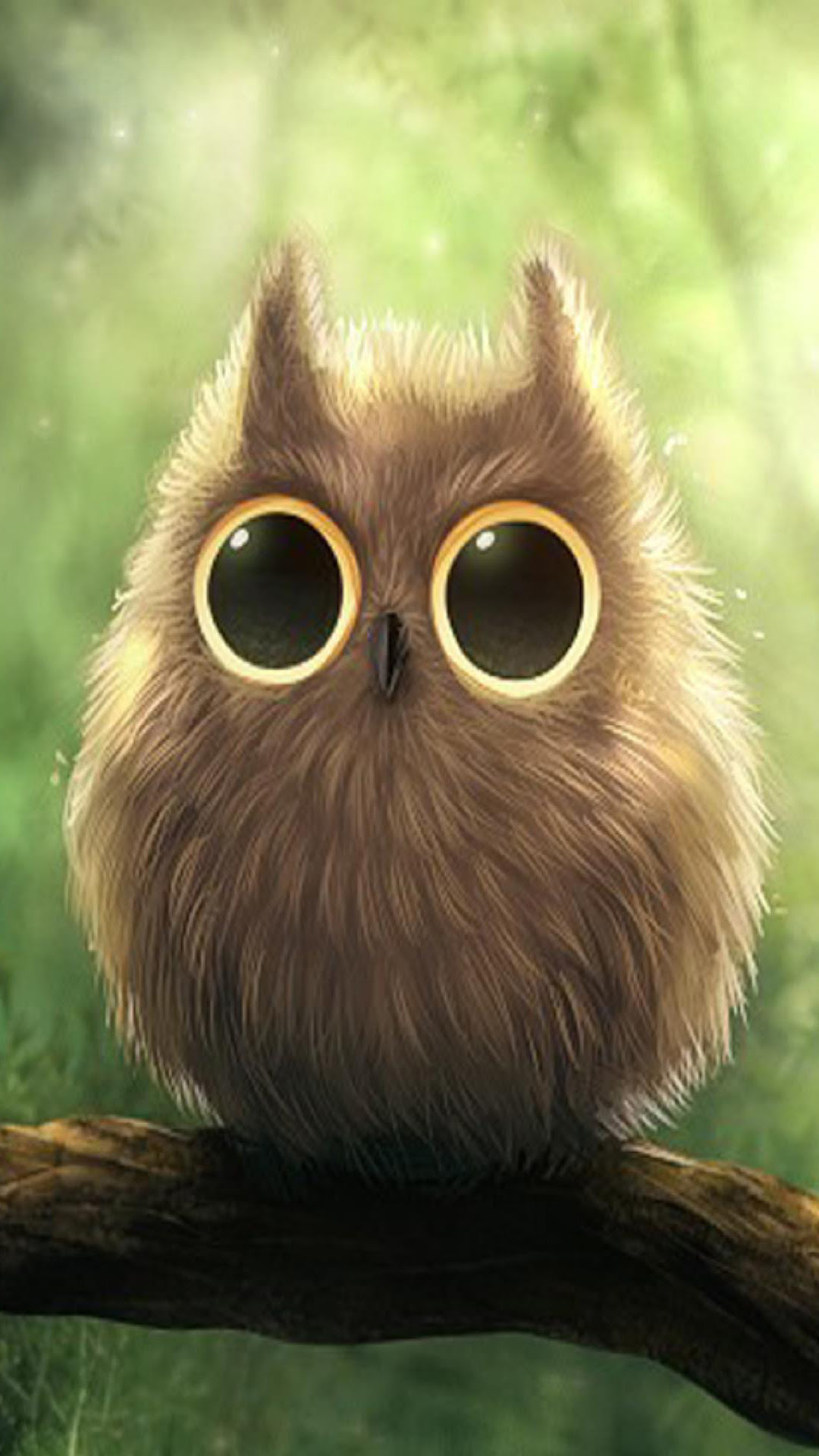 11 Wallpaper Animasi Owl  Richi Wallpaper 