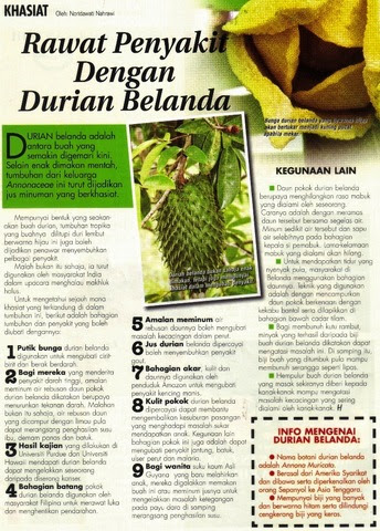 Untuk sakit buah pinggan yang sudah dialisis. Katalog Flyers Annona Herbs Selangor