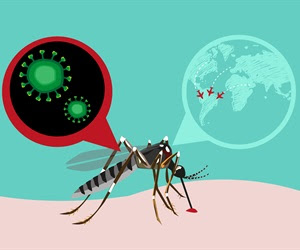 Researchers unravel how Zika virus manipulates the human immune system