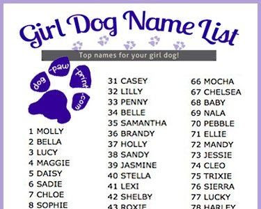 【ベストコレクション】 boy and girl dog names that go together 108572-Boy and girl dog names that go together