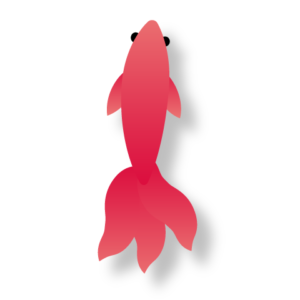 美しい花の画像 これまでで最高の金魚 イラスト 書き方 簡単