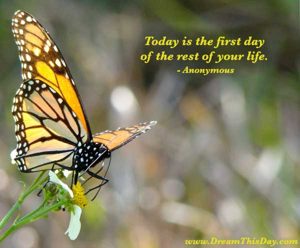 When i was 17, i read a quote that went something like: Today Is The First Day Of The Rest Of Your Life By Anonymous