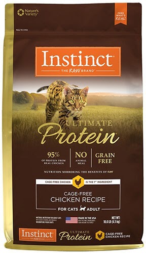 Bengal Cat Food Brands