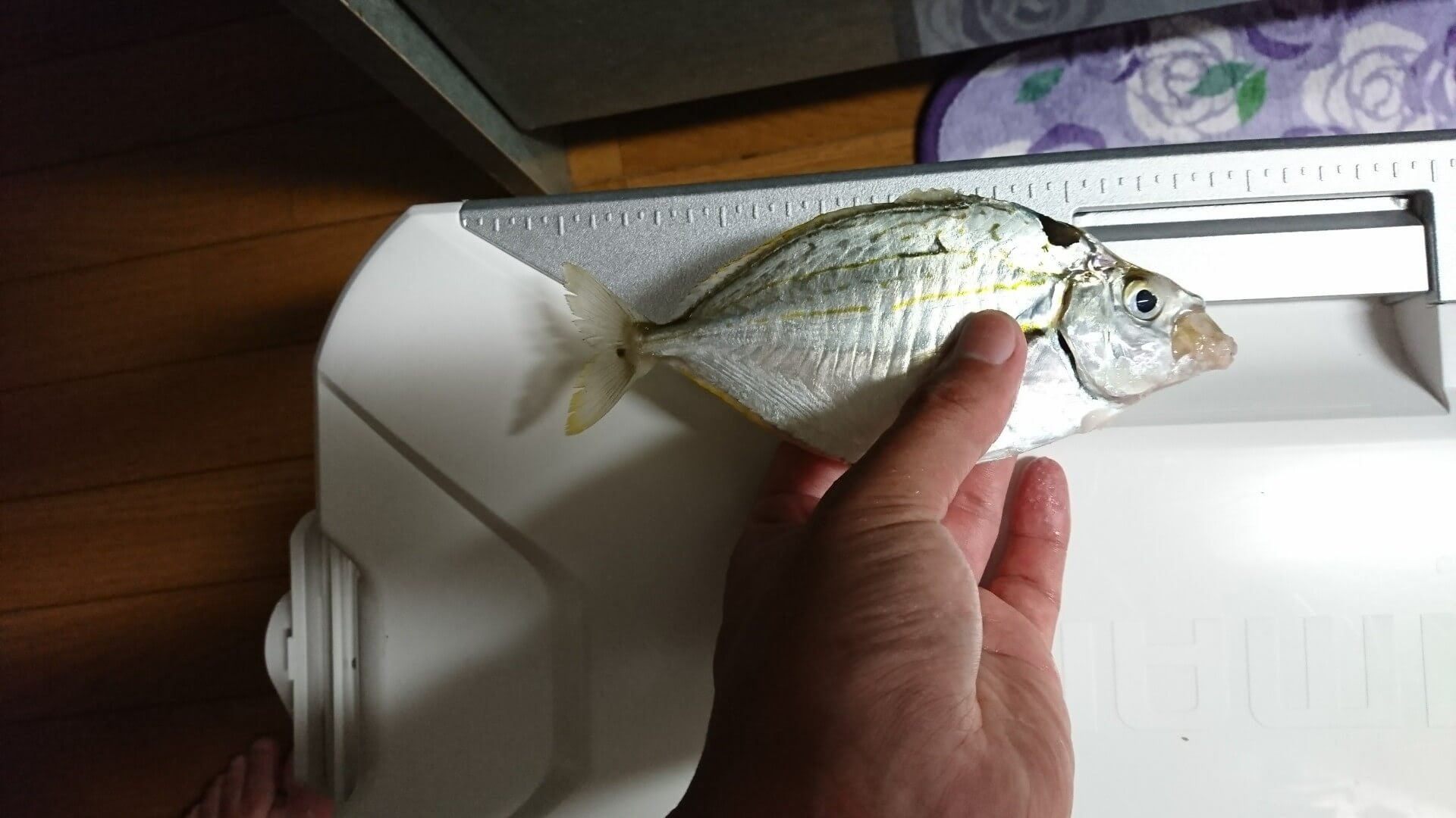 ラブリーヒイラギ レシピ すべての魚の画像