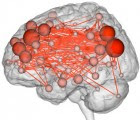 A connectome maps connections between different brain networks (credit: Emily Finn)