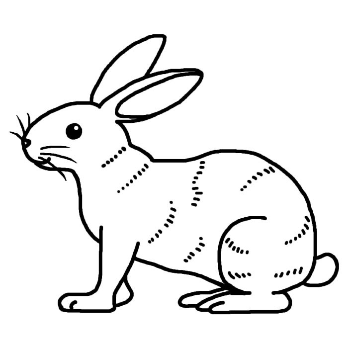 かわいいディズニー画像 Hd限定白黒 かっこいい うさぎ イラスト