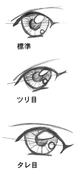 すべての動物の画像 無料ダウンロードたれ目 イラスト