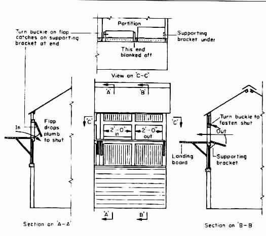 Denny Yam: Pigeon loft plans free Details