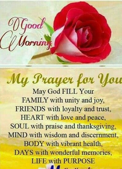 40 Love Family Prayer Good Morning Quotes Wisdom Quotes