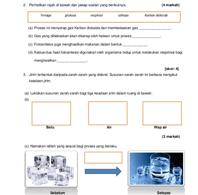 Soalan Fotosintesis Tahun 4 - Mum Contoh