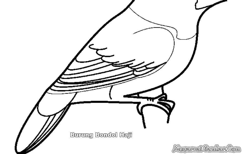 Lukisan Hitam Putih Kepala Burung / #2 Burung Murai (Hitam Putih) Yang Jinak - YouTube - Nah, kalau sudah tahu 15 fakta menakjubkan tentang burung hantu ini, jadi tidak misterius lagi, kan.