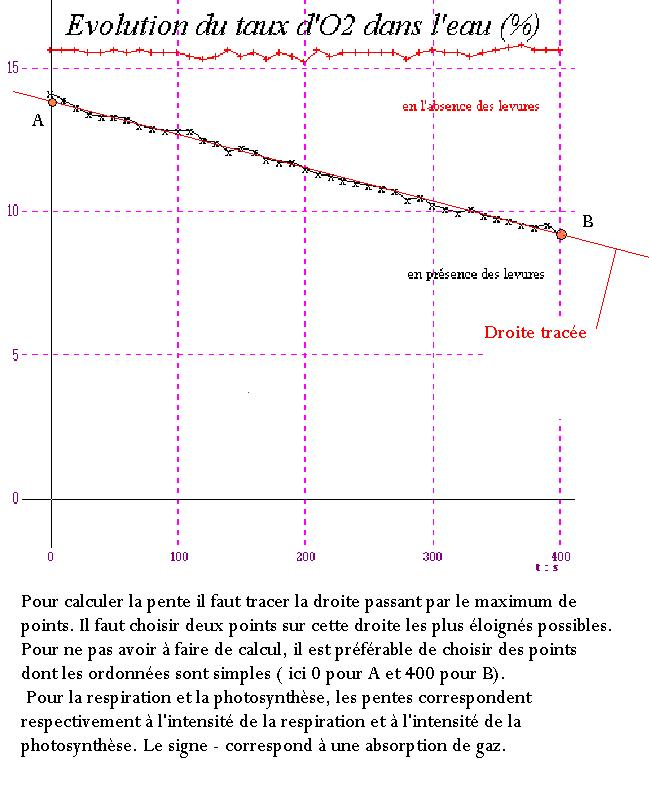 Exemple de charte graphique réalisé par xianwen wei, pour misù bakery. Svt Comment Calculer Un Coefficient Directeur Pente D Une Droite