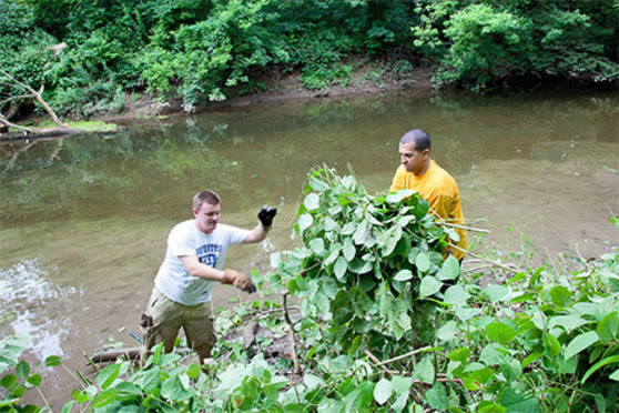 Outdoors, nature, plants ,water, creek, people, gloves, work