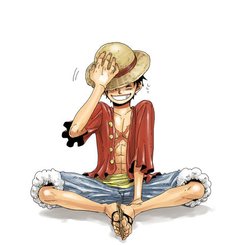 イラスト集 最高ワンピース ルフィ イラスト かっこいい