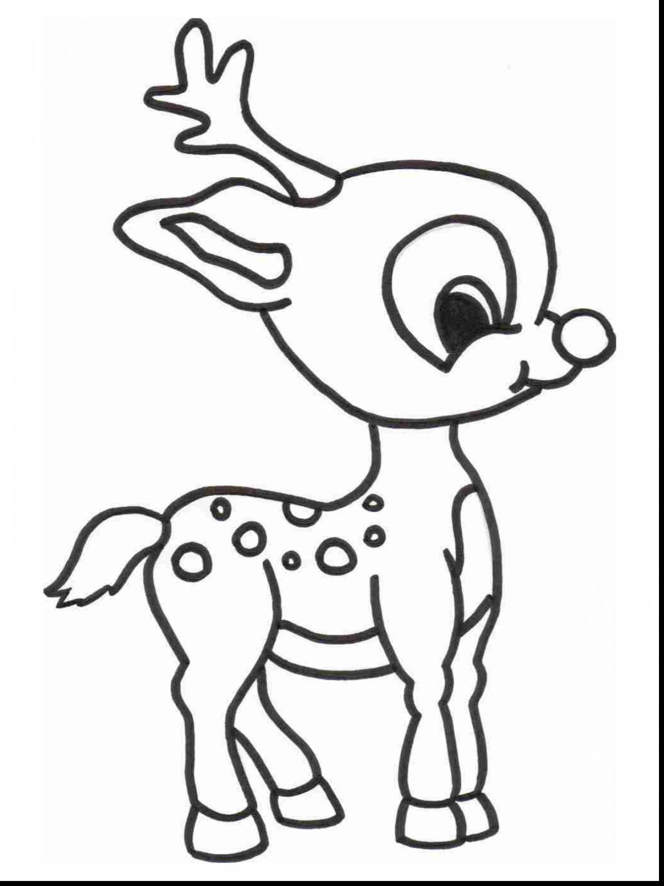 Cute Baby Animal Colouring Pages Coloring And Drawing