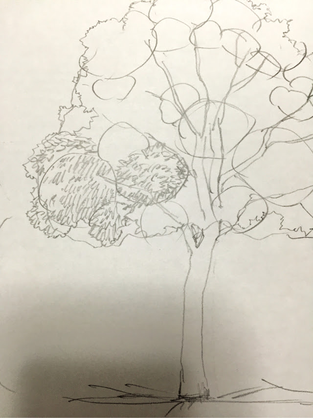 最も選択された 桜の 木 イラスト 書き方 猫 シルエット フリー