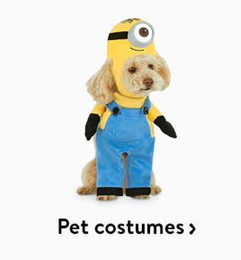Halloween costumes for your pets