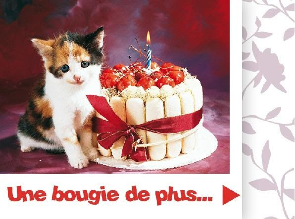 Carte De Voeux Anniversaire Chat Nanaryuliaortega Site