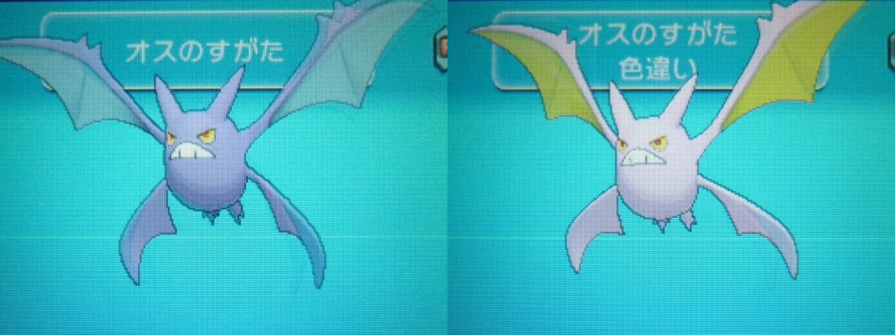 上 ポケモン Xy カブルモ 9511 ポケモン Xy カブルモ