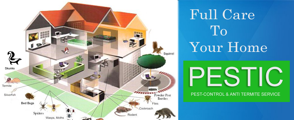 Western® helps prevent your home from becoming their dinner. Welcome To Pest Control
