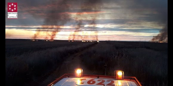 2. Controlado el incendio forestal en el parque natural del Prat de Cabanes en Torreblanca (Castellón)