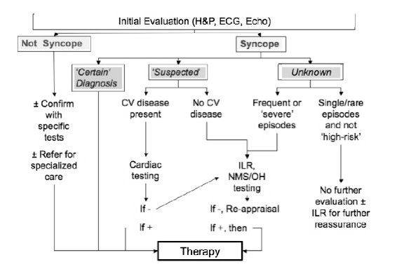 But it's possible that you may. Syncope An Overview Of Diagnosis And Treatment